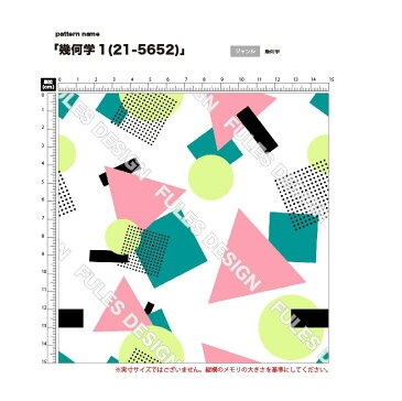 【9/1限定クーポン配布中】生地 布 光沢2wayストレッチニット生地 幾何学柄プリント 10柄 10cm単位切り売り (縦横に伸びる 光沢感 ドレープ性) 商用利用可 50cmから ハンドメイド 手作りレギンス,レオタード,犬服,クッションカバーに最適な生地