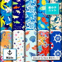 【楽天スーパーセールクーポン配布中】鹿の子 ニット生地 布 マリン柄 UVカット 吸水速乾 商用利用可 ハンドメイド 手作り 手芸 犬服 レオタード ラッシュガード スポーツウェア ユニフォーム (marin_3)