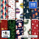 【楽天スーパーセールクーポン配布中】サテン ジャガード生地 紗綾形 さや形 布 クリスマス柄 美しい華やかな地模様 高級感 商用利用可 ハンドメイド 手作り 手芸 風呂敷 よさこい 衣装 つまみ細工 羽織 和装 巾着袋 (winter_2)