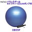 ハタ HATAS バランスボールセイフティー 55cm ポンプ付き ブルー DB55P 安全性に優れたボディーボール /2024SS