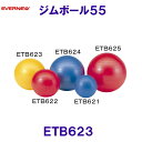 エバニューEVERNEW ジムボール55 ETB623 トレーニング用品 /2025SS