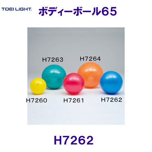 トーエイライト TOEILIGHT ボディーボール65 H7262 バランスボール /2025SS