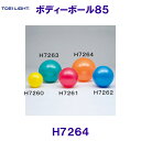 トーエイライト TOEILIGHT ボディーボール85 H7264 バランスボール /2025SS