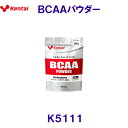 ケンタイ kentai 健康体力研究所 BCAAパウダー 300g K5111 /2024SS