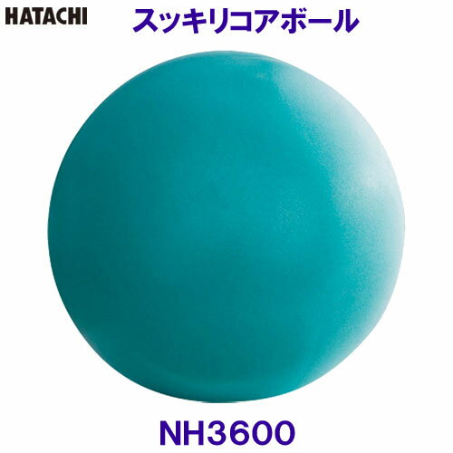 n^` HATACHI XbLRA{[ NH3600 g[jO  ̊ NVO[N/2024SS