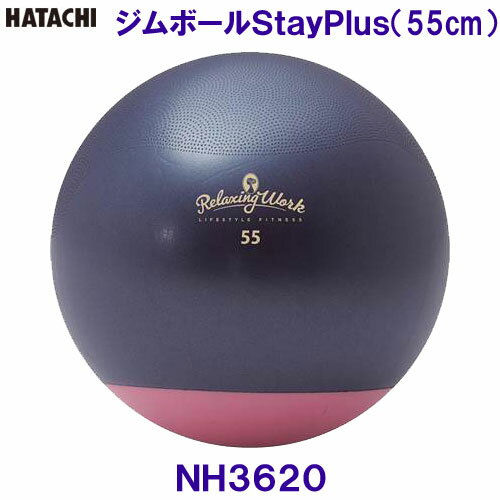 n^` HATACHI W{[StayPlus 55cm NH3620 g[jO  ̊ NVO[N/2024SS