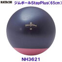 商品説明■サイズ：直径約65cm■重量：本体/約1kg、空気入れ/約100g■材質：非フタル酸ポリ塩化ビニル■原産国：中国■耐荷重の目安：最大約100kg■付属品：空気入れ（ラピッドポンプ）、空気栓（2コ） 仕様規格■低重心ジムボール■デザイン性の高いリビングスタイル、転がりにくい、低重心設計■すべりにくい表面加工でカラダをしっかりサポート■Relaxing Work（リラクシング ワーク）：35歳からのライフスタイルフィットネスシリーズ。フィットネスムービーを見ながらホームリビングの中でRelax＆Workoutにおすすめです。 コ メ ン トメーカーからのお取り寄せになります。お急ぎのかたは、ご注文前にお問い合わせください。