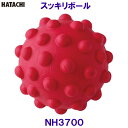 ハタチ HATACHI スッキリボール NH3700 自宅トレーニング 足裏 リラクシングワーク /2024SS