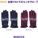 n^` HATACHI SwEgXgb`O[u BH8029 OEhSt /2024SS