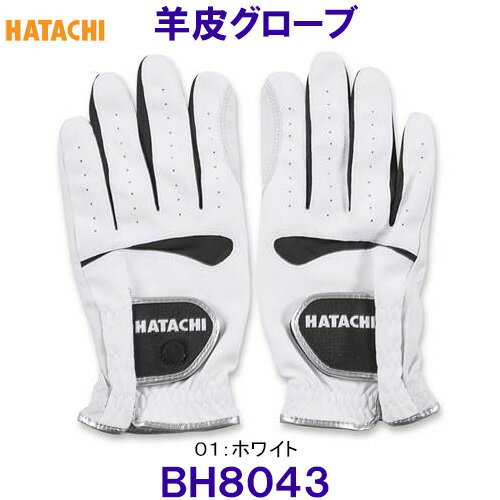 ハタチ HATACHI 羊革グローブ BH8043 グラウンドゴルフ /2024SS