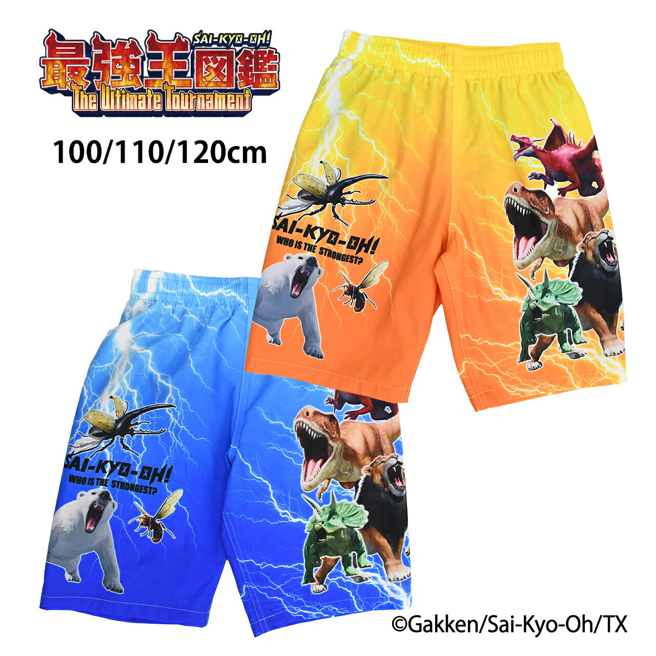 樂天商城 - 学研 最強王図鑑 キッズ 子供 水着 男の子 サーフパンツ 100 110 120cm 水着 子供水着 キッズ水着 男児水着 サーフパンツ スイムパンツ 海水パンツ 短パン オレンジ ブルー 青 幼稚園 保育園 小学生 夏 夏物 プール 海 水遊び 海水浴