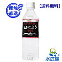 りょう泉　はやぶさ　天然アルカリイオン泉 500mlx24本入り　山梨県の水源工場から直送のため代引き不可