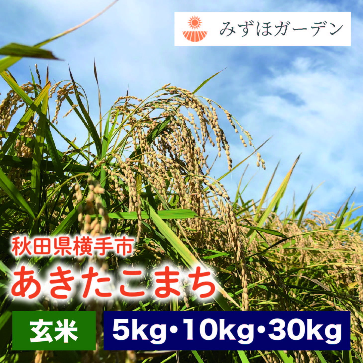 ＜新米＞玄米 あきたこまち 令和5年産 送料無料 秋田県産 特別栽培米 お米 コメ 産地直送 国産 農家直送 新米 減農薬