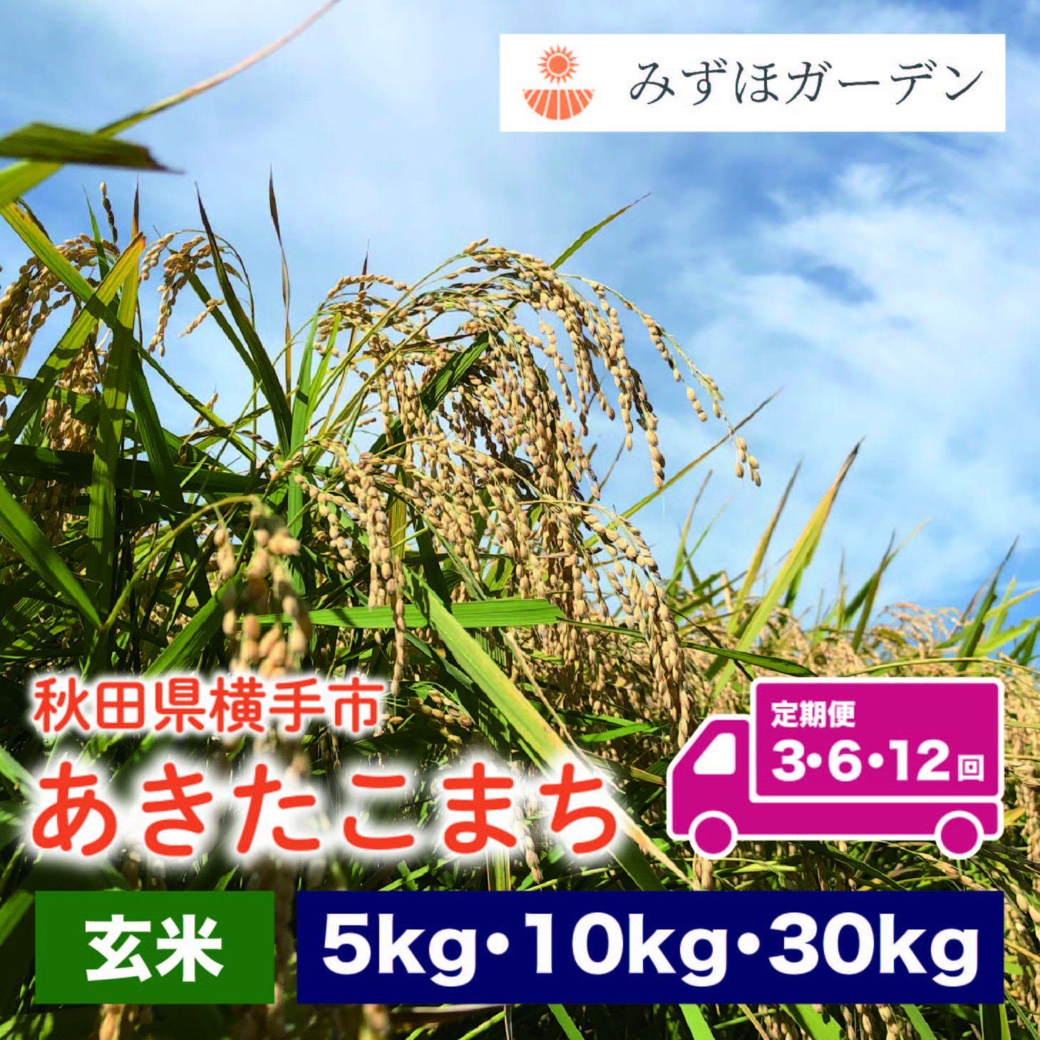 ＜定期購入＞玄米 あきたこまち 定期便 秋田県産 令和5年産 特別栽培米 お米 コメ 送料無料 産地直送 国産 農家直送