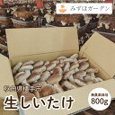 送料無料 椎茸専門店の国産しいたけ粉末80gササッと料理に振りかけて料理などに使うと本格極上の風味と栄養が味わえる本物の原木無農薬栽培シイタケを使用した逸品！干ししいたけ 椎茸 椎茸 粉末 国産 九州産 無添加 パウダー お取り寄せグルメ