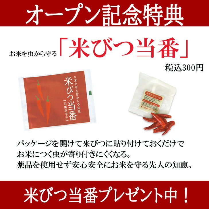 【新米予約！プレゼント付き！】予約　新米　無洗米　あきたこまち 10kg(5kg x 2) 秋田県産 令和4年産 特別栽培米 お米 コメ 送料無料 産地直送 国産 農家直送 横手市 秋田県南 新米 精米 うるち米 白米 おいしい 減農薬 一等米