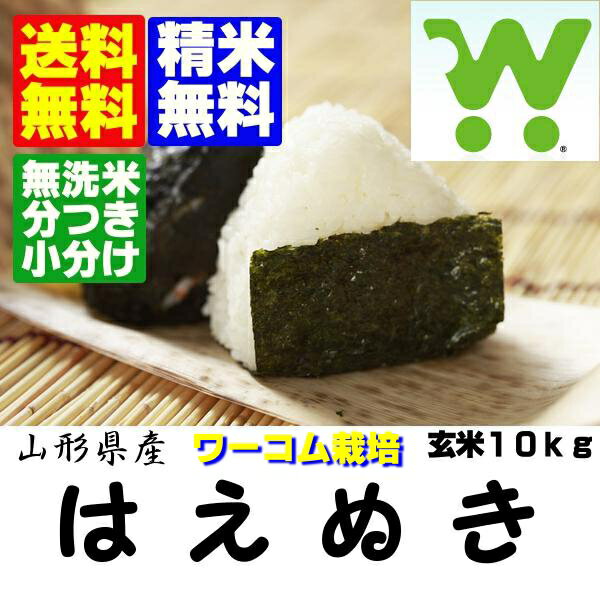 新米　令和1年産ワーコム栽培米山形県産はえぬき米10kg【北海道〜近畿地方のみ送料無料】【中国・四国・九州・沖縄地方は追加運賃】