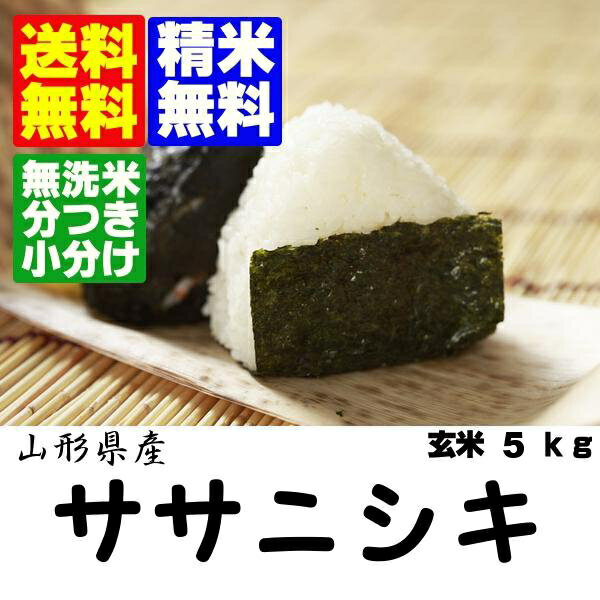 新米　令和1年産　山形県産ササニシキ玄米5kg 【北海道〜近畿地方のみ送料無料】【中国・四国・九州・沖縄地方は追加運賃】