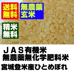 【無農薬玄米】新米　令和4年産宮城県産ひとめぼれ玄米5kg【北海道〜近畿地方のみ送料無料】【中国・四国・九州・沖縄地方は追加運賃】