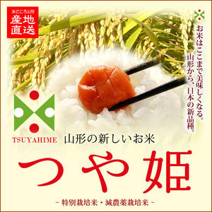 【正規取扱店】　令和5年産 　山形県産特別栽培米つや姫　玄米25kg【30kg商品からかわりました】【北海道〜近畿地方のみ送料無料】【中国・四国・九州・沖縄地方は追加運賃】