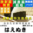 　【新米】令和3年産　減農薬特別栽培米山形県産はえぬき玄米25kg【30kg商品からかわりました】【北海道〜近畿地方のみ送料無料】【中国・四国・九州・沖縄地方は追加運賃】