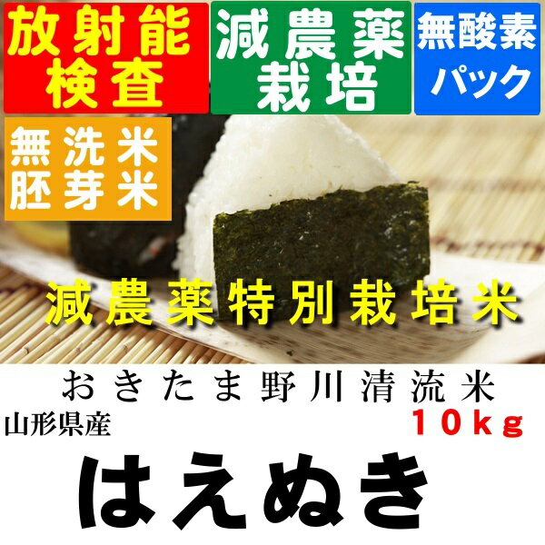 新米　令和1年産　特別栽培米山形県産はえぬき玄米10kg【北海道〜近畿地方のみ送料無...