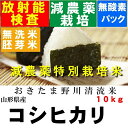 新米　令和1年産　特別栽培米山形県産コシヒカリ10kg（5kgx2）【北海道〜近畿地方のみ送料無料】【中国・四国・九州・沖縄地方は追加運賃】