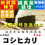 　令和4年産　山形県産特別栽培米コシヒカリ玄米5kg【北海道〜近畿地方のみ送料無料】【中国・四国・九州・沖縄地方は追加運賃】
ITEMPRICE