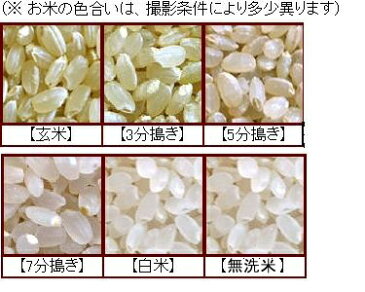 29年産山形県産ササニシキ玄米25kg【送料無料】【精米方法自由：分づき米（胚芽米）・無洗米・白米・玄米】【30kg商品からかわりました】