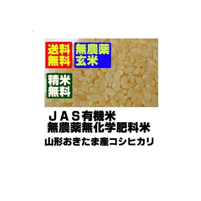 【無農薬玄米】　令和2年産　山形コシヒカリ玄米5kg【北海道〜近畿地方のみ送料無料】【中国・四国・九州・沖縄地方は追加運賃】