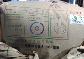 【無農薬玄米】令和5年産宮城県産ひとめぼれ玄米10kg(5kgx2)【北海道〜近畿地方のみ送料無料】【中国・四国・九州・沖縄地方は追加運賃】