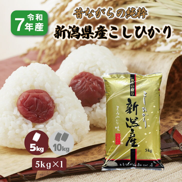 樂天商城 - 【5kg×1袋】7年産 新潟県産こしひかり 5kg 非BL 従来型 白米 精米 1等米 お米 5キロ コシヒカリ 贈答用
