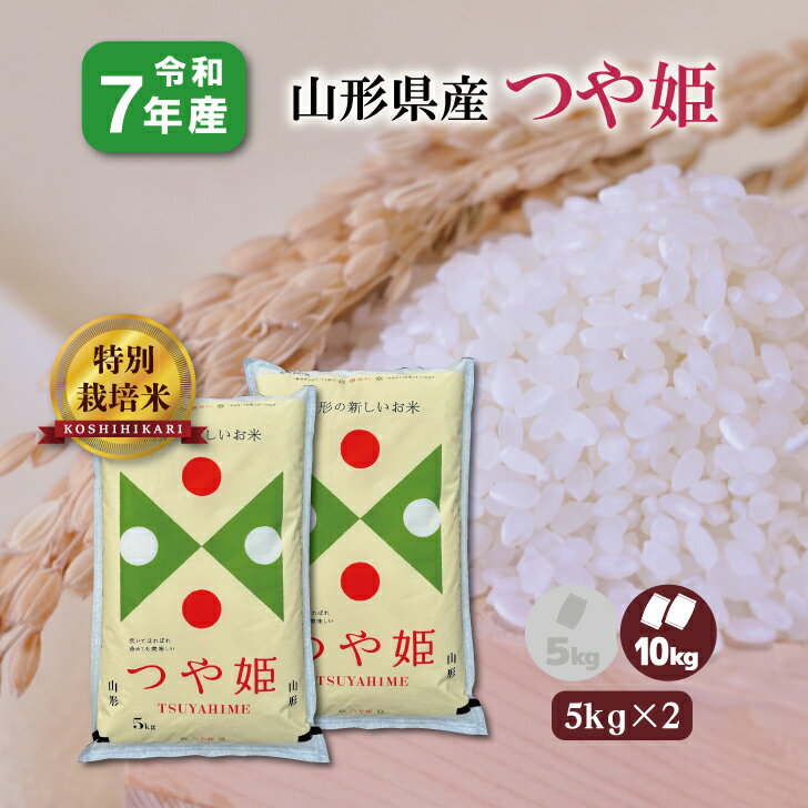 【5kg×2袋】 7年産 山形