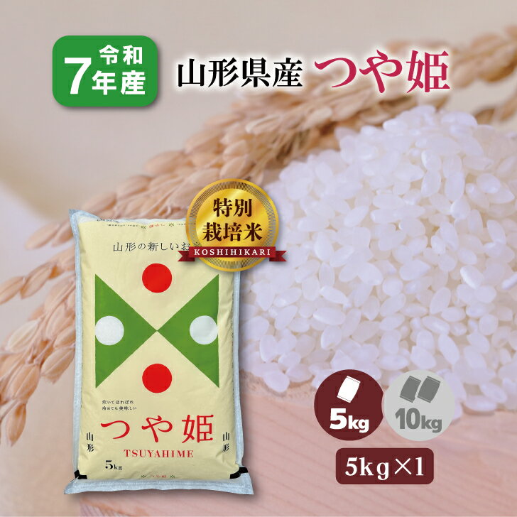 【5kg×1袋】7年産 山形�