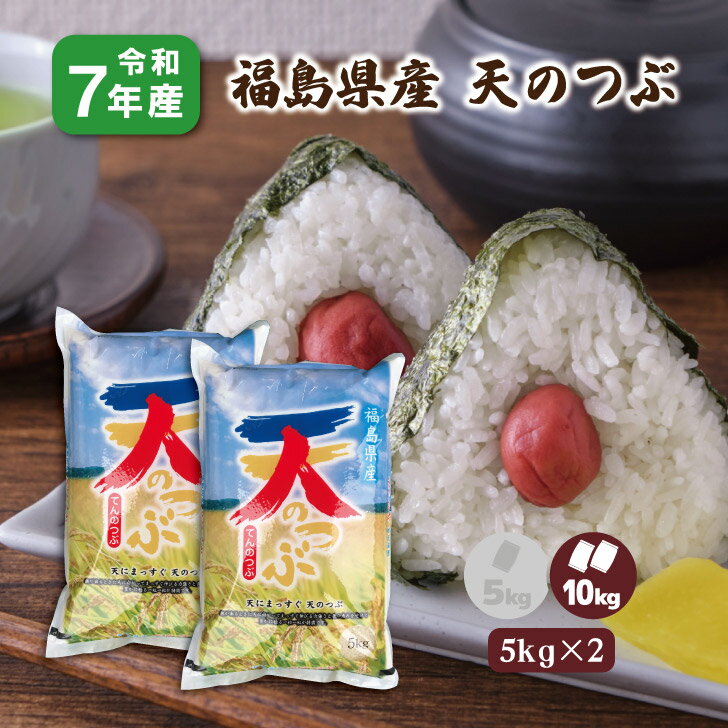 【5kg×2】7年産 福島県産天のつぶ 10Kg 白米 10Kg 天の粒 精米 1等米 お米 送料無料 新生活応援米 福島復興支援米