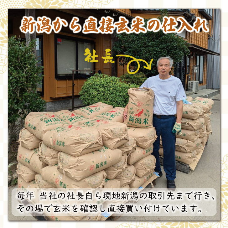 最速【5kg×2袋】 新米 6年産 新潟県 こしひかり 10kg 非BL 従来型 白米 精米 1等米 お米 コシヒカリ 送料無料 10キロ
