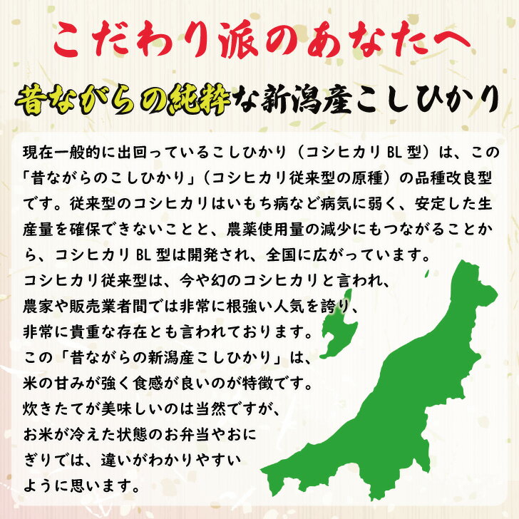 最速【5kg×2袋】 新米 6年産 新潟県 こしひかり 10kg 非BL 従来型 白米 精米 1等米 お米 コシヒカリ 送料無料 10キロ