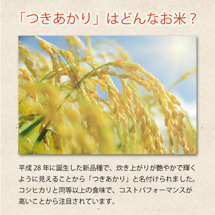 【5kg×4袋】7年産 福島県産 つきあかり(20kg) 白米 精米 1等米 お米 送料無料 お買...