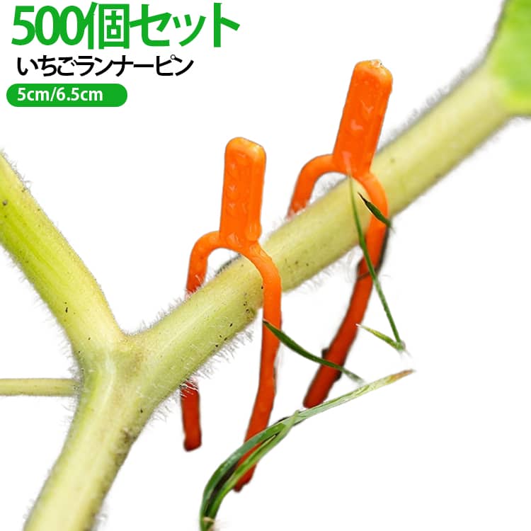 土にサッと差し込んで使える、フォーク型の園芸クリップ500個セットです。植物の茎やつる、イチゴなどのランナーをワンタッチで簡単に固定できます。つまみやすい大きなハンドルデザインで扱いやすく、作業の時間や手間を大幅に減らします。つまみ部分の側面をギュッと押すことで先端を広げることができ、土に挿した後はしっかり土を抱え込むため、風などで簡単には抜けない仕組みです。先端部は土に挿しやすく抜けにくい鋭い形状でありながら、ランナーに接する部分は幅が広く、大切な植物を傷つけにくい優しい設計になっています。素材には、安全で臭いのない環境に優しい高品質なプラスチックを採用しました。タフで耐久性・耐食性に優れ、回収時もつまみが広くて持ち上げやすい形状なので、長期間安心して繰り返し使えます。つるや苗をしっかり地面に固定できるので、強風でつるが振り回されたり、若い実が傷ついたりするのを防ぎます。また、つるの伸びる方向を抑えて広がりすぎをコントロールすることで、栄養が効率よく行き渡り、実の成長を促す効果も期待できます。紐を挟むスペースが広く作られているため、支柱や誘引紐への固定もラクラクです。きゅうりやスイカ、メロン、イチゴといったつる性の植物をはじめ、トマトやバラなど、さまざまな植物の誘引や固定に大活躍します。毎日のガーデニングや畑仕事、苗の植え付けにとても便利なアイテムです。 サイズ 5cm(500個セット) 6.5cm(160個セット) サイズについての説明 長さ5cm 長さ6.5cm 素材 ABS 色 オレンジ 備考 ●サイズ詳細等の測り方はスタッフ間で統一、徹底はしておりますが、実寸は商品によって若干の誤差(1cm～3cm )がある場合がございますので、予めご了承ください。 ●製造ロットにより、細部形状の違いや、同色でも色味に多少の誤差が生じます。 ●パッケージは改良のため予告なく仕様を変更する場合があります。 ▼商品の色は、撮影時の光や、お客様のモニターの色具合などにより、実際の商品と異なる場合がございます。あらかじめ、ご了承ください。 ▼生地の特性上、やや匂いが強く感じられるものもございます。数日のご使用や陰干しなどで気になる匂いはほとんど感じられなくなります。 ▼同じ商品でも生産時期により形やサイズ、カラーに多少の誤差が生じる場合もございます。 ▼他店舗でも在庫を共有して販売をしている為、受注後欠品となる場合もございます。予め、ご了承お願い申し上げます。 ▼出荷前に全て検品を行っておりますが、万が一商品に不具合があった場合は、お問い合わせフォームまたはメールよりご連絡頂けます様お願い申し上げます。速やかに対応致しますのでご安心ください。