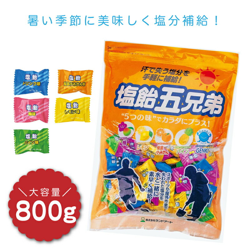 800-5350　レクノスの塩飴五兄弟(袋入タイプ)　800g　 塩飴 熱中症対策　塩分補給 レモン 梅 サイダー 塩あめ キャンディ 熱中飴 大容量 業務用 個包装 大袋 スポーツ お菓子 ジム 部活 差し入れ 　暑さ対策