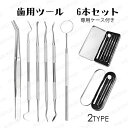 br8#6本セット 歯科口腔清掃キット 日本国内当日発送 歯用ツール 歯石取り ステンレス 抗菌 ヤニ 歯垢 歯石削り セルルケア しこう取り 歯石除去