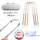 タンスクレーパー (#br17) 3本セット 専用ケース付き 掃除機 舌みがき 舌ブラシ 舌磨き 舌クリーナー 舌専用 ブラシ 口内ケア 携帯用 舌苔清掃 ポイ...