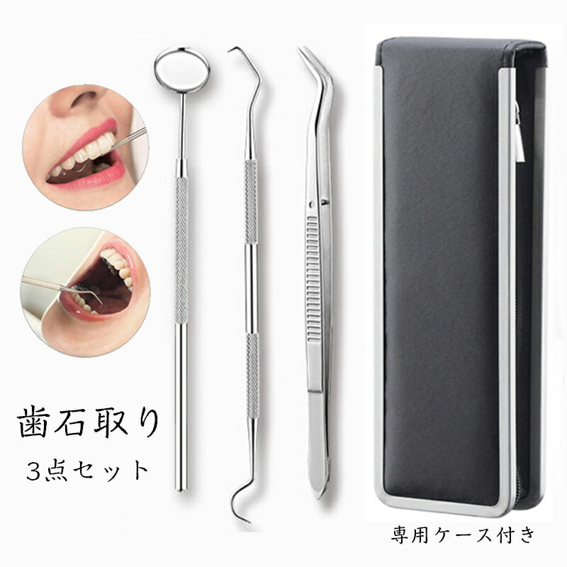br59#3点セット 歯石取り 専用収納ケース 304 器具 自分で 歯石 ヤニ取り しこう取り 男女兼用 送料無料 プレゼント