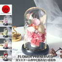 プリザーブドフラワー ボトルフラワー 母の日 ギフト お祝いプレゼントガラス 枯れない花 永遠の花 ナイトライト ボトル 結婚式 発表会 誕生日 記念日
