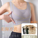 大きいサイズ ブラジャー 大きな胸を小さく見せるブラ 着痩せブラ 小さく見せる スリムシルエットブラ インナー 着物 さらしブラ ツーハッチ 40代 30代 20代(4)
