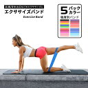 エクササイズバンド トレーニングチューブ ゴムバンド ストレッチ 自宅 筋トレ チューブ ループバンド 美尻 ヨガ バンド エクササイズ ストレッチ 5色 バンド セット 運動不足 室内 簡単 在宅(4)