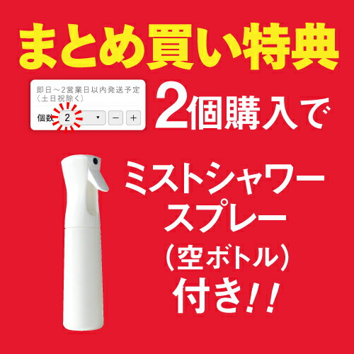 次亜塩素酸水 合計13L バイバイ菌 高濃度500ppm 次亜塩素酸【10L＋2.5L増量+500mlさらに増量中】 除菌消臭 除菌スプレー 細菌・カビ 季節性ウイルス対策に 10倍希釈で吸入毒性 皮膚刺激性 経口毒性試験済 眼刺激性試験済み【医師監修】