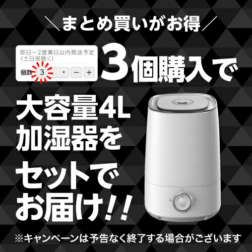 次亜塩素酸水 合計13L バイバイ菌 高濃度500ppm 次亜塩素酸【10L＋2.5L増量+500mlさらに増量中】 除菌消臭 除菌スプレー 細菌・カビ 季節性ウイルス対策に 10倍希釈で吸入毒性 皮膚刺激性 経口毒性試験済 眼刺激性試験済み【医師監修】