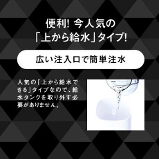 超音波加湿器上部給水式大容量4L噴霧器次亜塩素酸次亜塩素酸水対応アロマ対応超音波噴霧器【ただ今次亜塩素酸水500mlプレゼント!】バイバイ菌を10倍希釈で空間除菌99.94%に乾燥・ウイルス・カビ・細菌対策除菌消臭お部屋もカビ予防にも