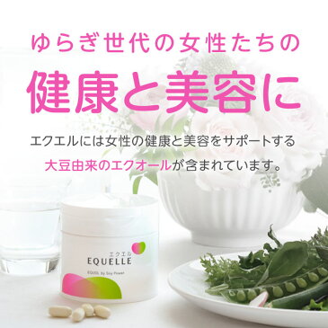 エクエル パウチ 【即〜3営業日出荷】【正規品】 120粒 × 2袋 大塚製薬 2個セット 送料無料 エクオール 大豆イソフラボン サプリメント【メール便】